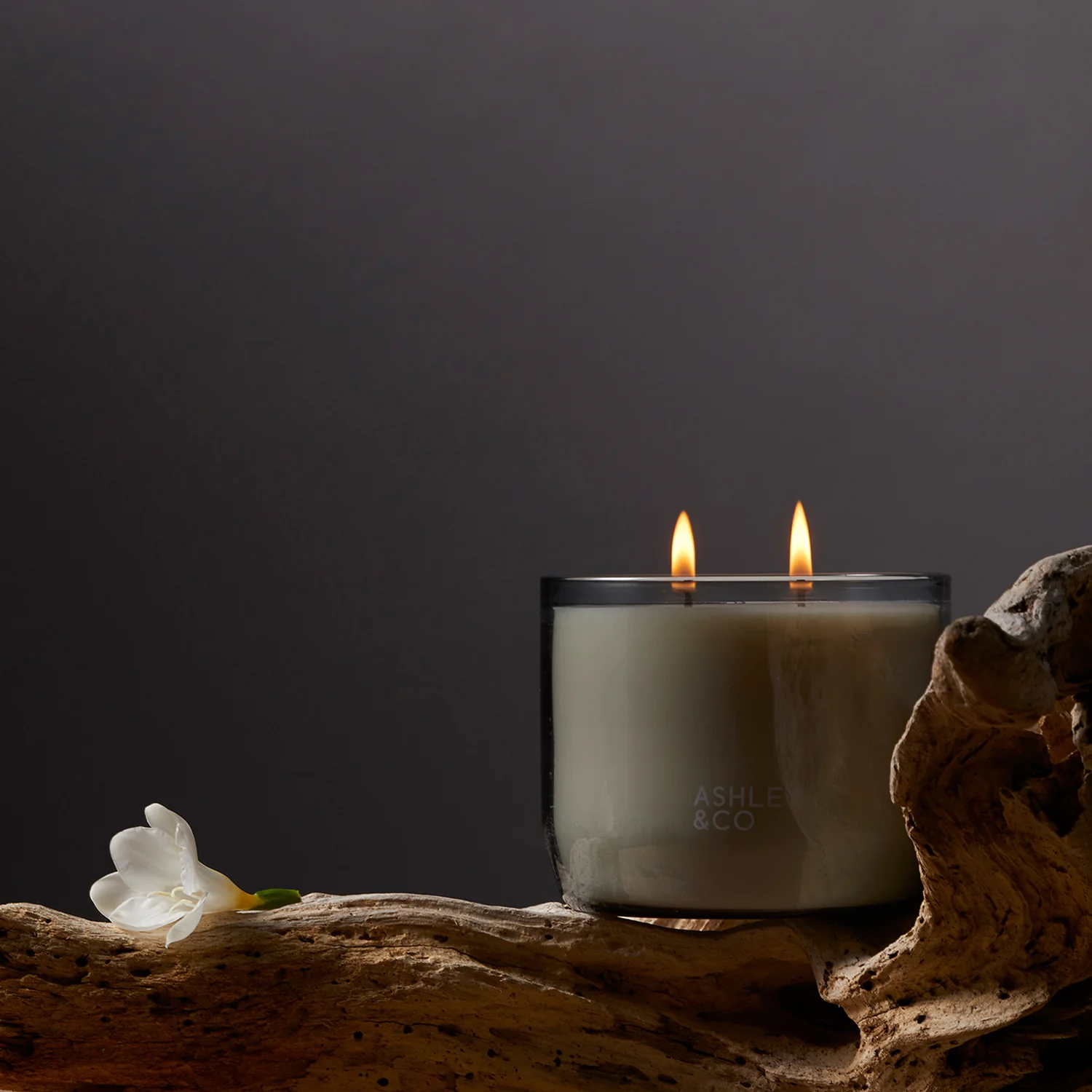 ashley + co | waxed perfume scented XL candle | blossom + gilt - Image 9