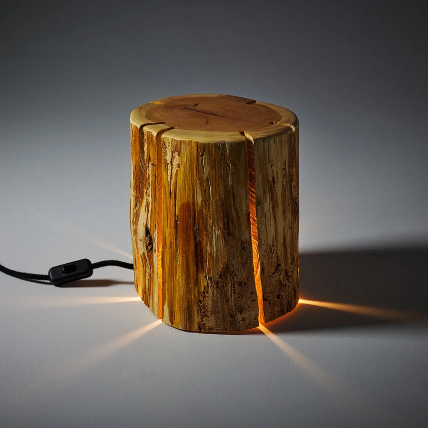 duncan meerding | cracked log lamp - DC - Image 24