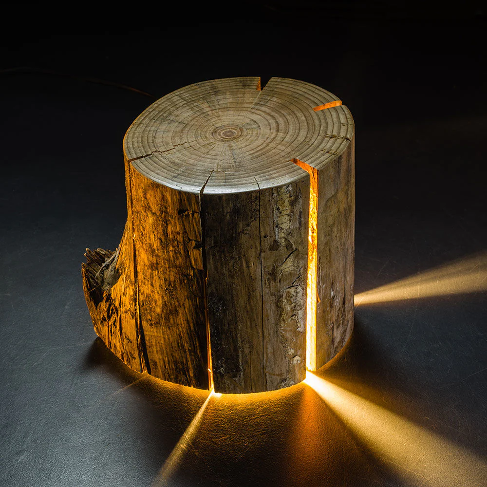 duncan meerding | cracked log lamp - DC - Image 27