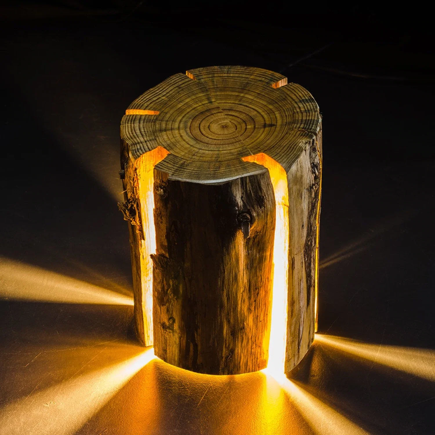 duncan meerding | cracked log lamp - DC - Image 29