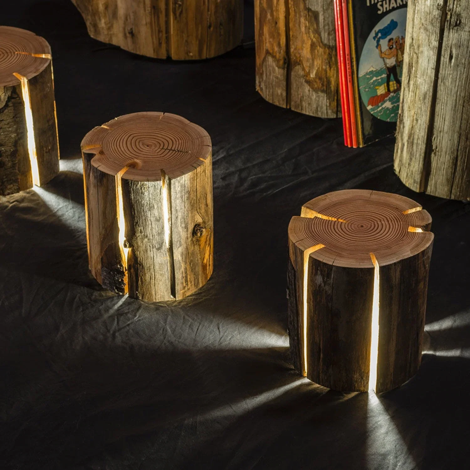 duncan meerding | cracked log lamp - DC - Image 37