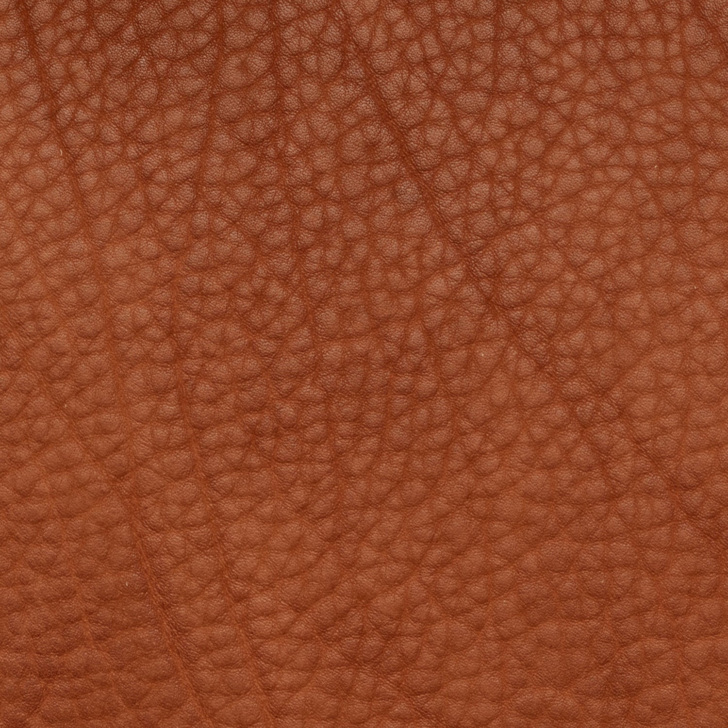 freifrau | grace armchair high | magnum cognac leather - Image 7