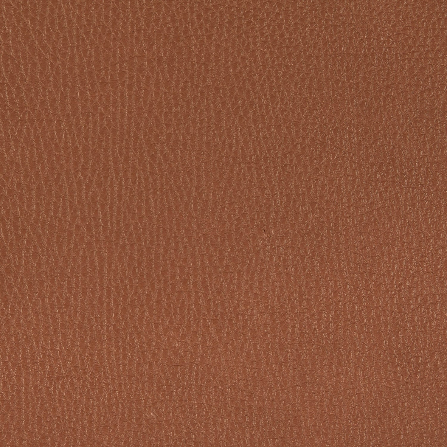 freifrau | leya armchair low | wire frame | cairo cognac leather - Image 5