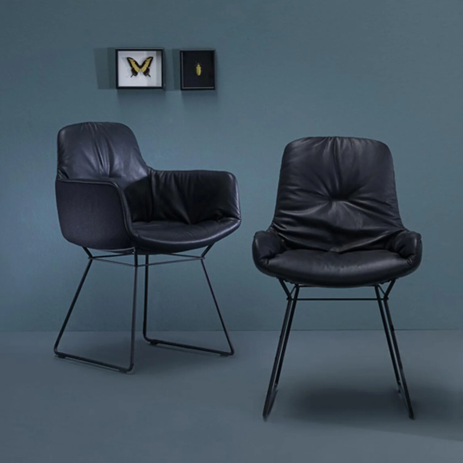 freifrau | leya armchair low | wire frame | orient ebony (black) leather - Image 2