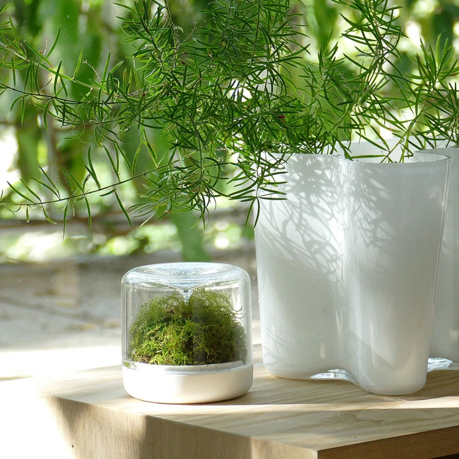 iittala | aalto savoy vase | white 16cm - Image 7