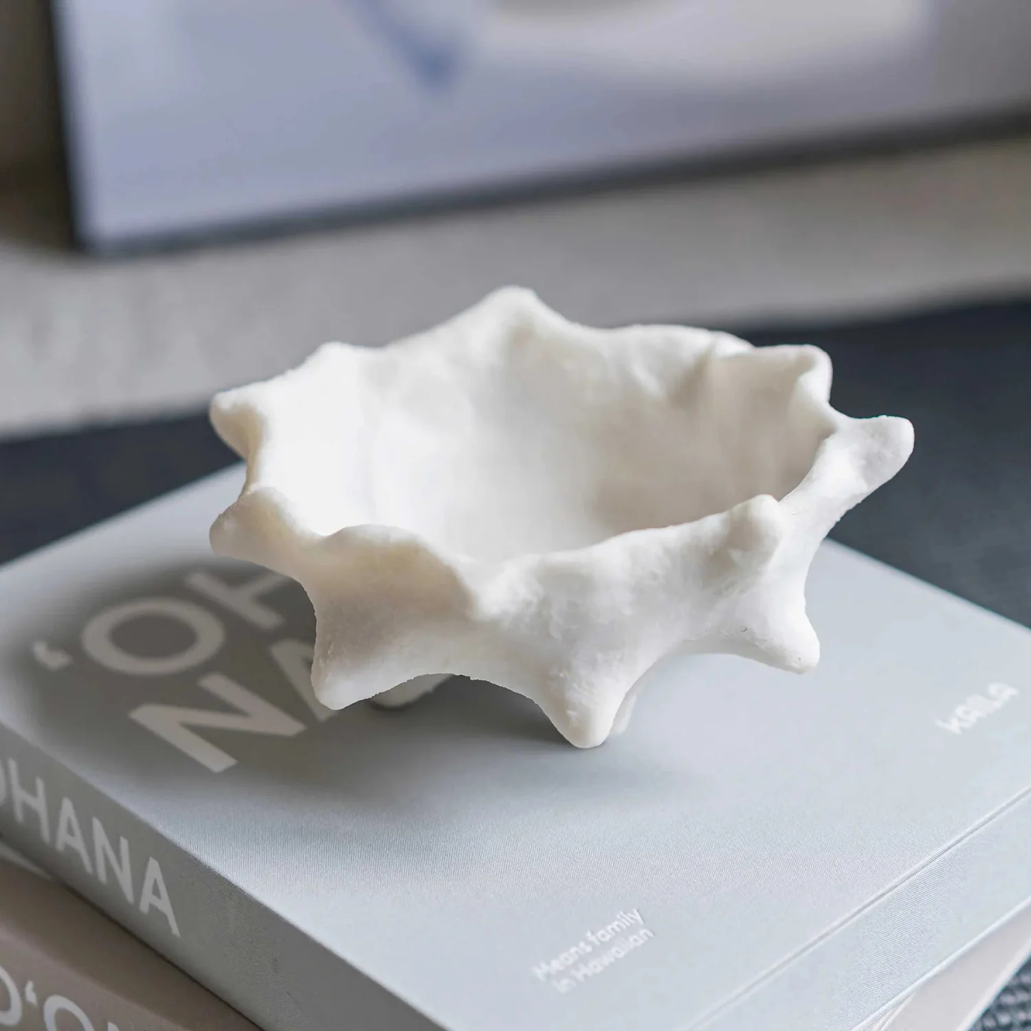 mette ditmer | art piece | chestnut bowl | off white - Image 5